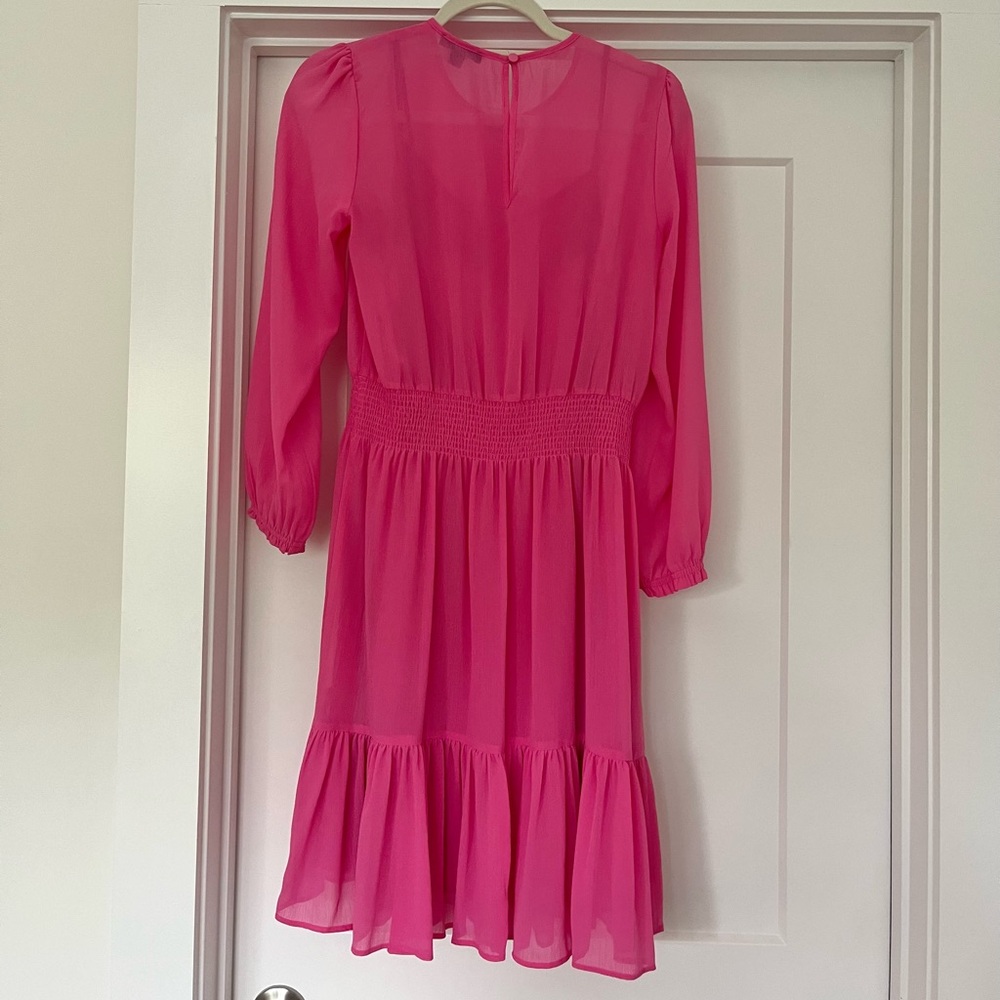 JCrew Cinched Waist Chiffon Dress